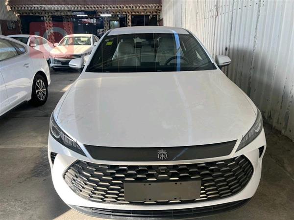 بی وای دی Qin Plus 2025 بۆ فرۆشتن لە عێراق - بەغداد